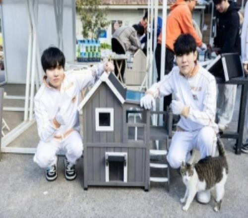 LPL选手分享返图：国际志愿者日，TheShy和Rookie一起搭猫屋