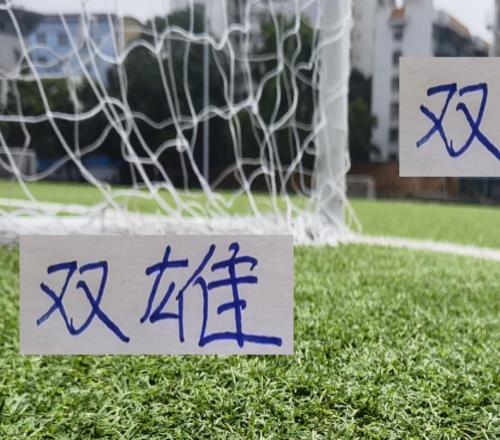 申花留住斯卢茨基至少中超是双雄格局留不住海港早就提前夺冠