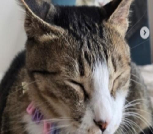 Viper社媒自宣：我将离开HLE转战其他战队期待未来能再次和大家见面