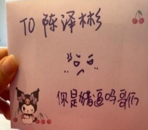 给Bin送“猪逼”应援牌粉丝声明：并非选手黑粉，自己手写信一向是这种风格