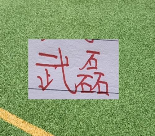 官宣！中超官方把武磊放在射手榜第一顺位太有面子