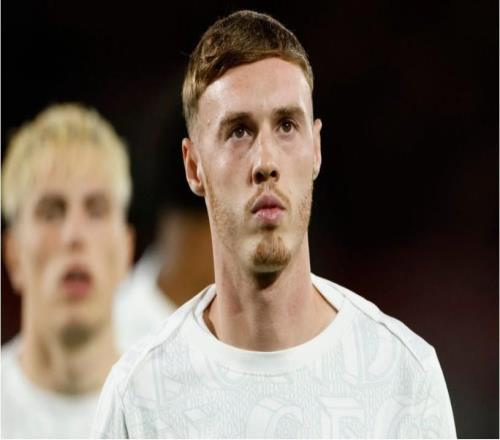 记者：帕尔默晚上在家时左小脚趾不小心撞在了门上导致受伤