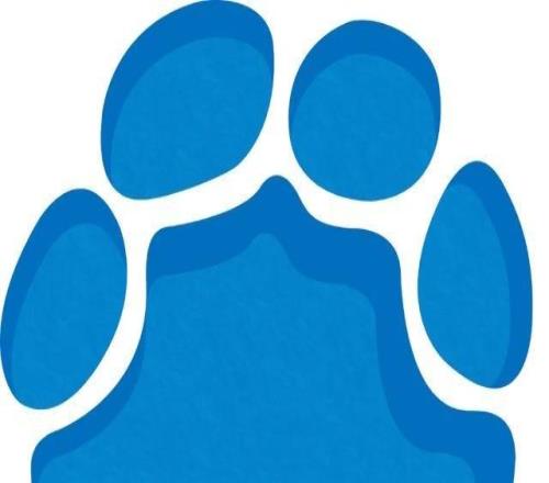 日本国脚竟拿“战犯”照片合影，英超球队道歉：向对中国造成的任何冒犯诚挚道歉