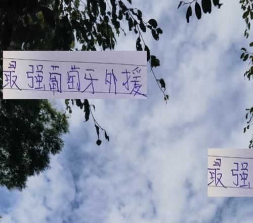 还剩6比赛！中超最强葡萄牙外援不在申花北京国安而在天津队