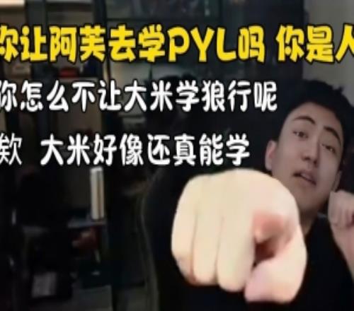 张硕对线弹幕：让阿芙学PYL你怎么不说让大米学狼行好像还真行！