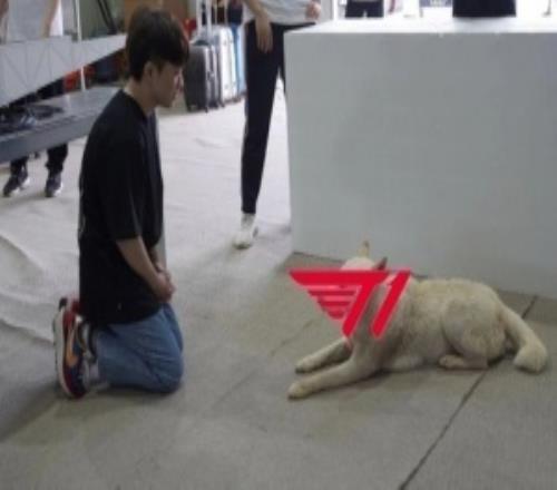 T1超话热议将迎来生死战：你们五个慌不慌我不知道我已经快疯了