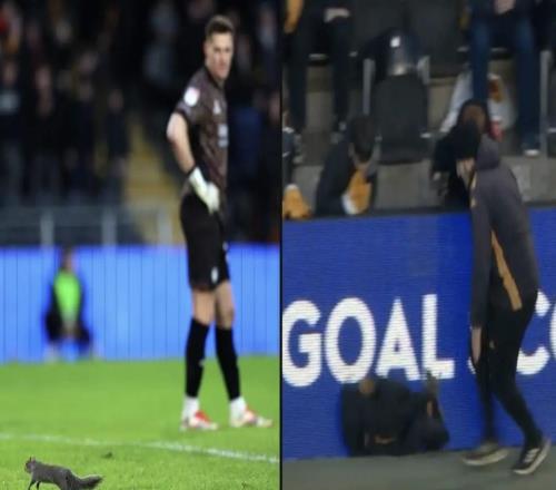 被选为最佳球员，赫尔城vs布里斯托尔的比赛被闯入的松鼠打断