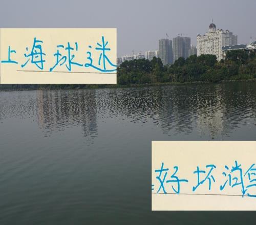 第24轮后对于上海球迷坏消息就是申花打平了好消息是海港赢球了