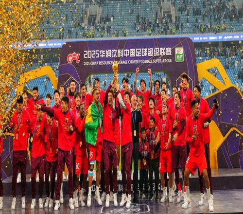 中国曼联开花结果上海海港队名队徽演变史