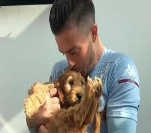 太阳报：格拉利什开价值26万镑的马丁兜风，还把狗放驾驶位上