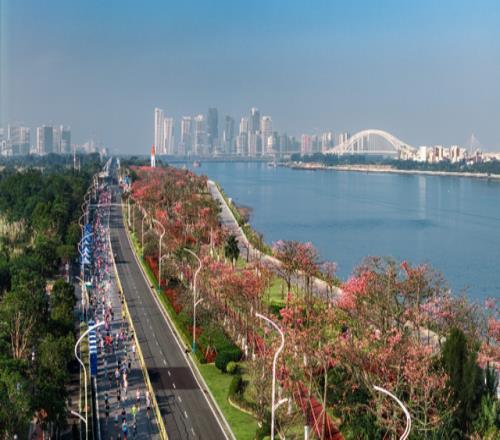 以体育之名，横琴正在重新定义这座岛屿的“温度”