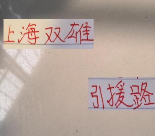 上海双雄都不找250万以上外援申花主打葡超线海港坚持巴西路
