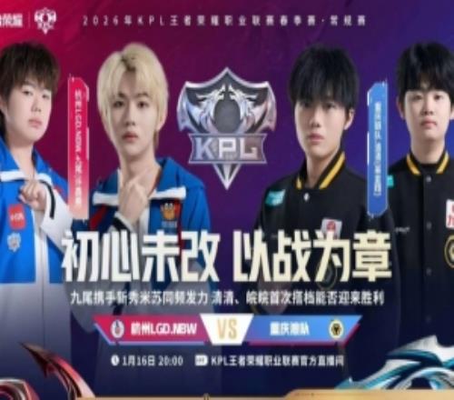 鏖战五局破局！清皖首发燃尽全场收下首胜狼队32LGD.NBW