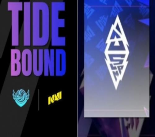 BLAST5：优势期慢了一步压制虚空不及时战车01被Navi翻盘