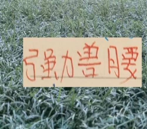 中超前4的后腰反而申花是国产的兽腰其他球队都是洋货