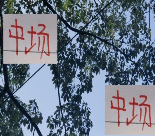 中超前4中场海港维塔出场最多申花中场进球最多助攻也多