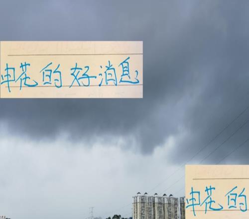 申花绝对好消息！山东官宣泽卡克雷桑和高准翼黄政宇打不了