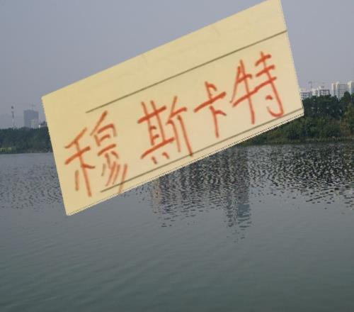 本赛季拿过冠军3个中超教练穆斯卡特在海港史上注定要留名了