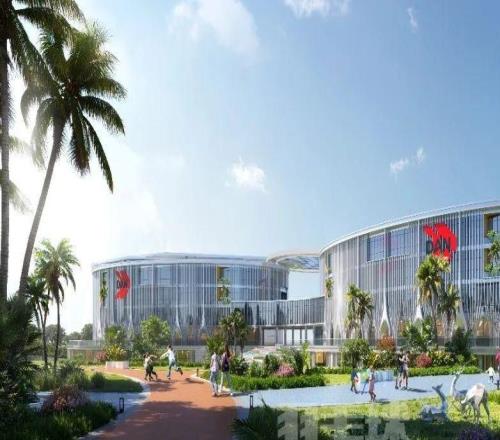 关注林丹领航，海南正在长出中国版“IMG学院”