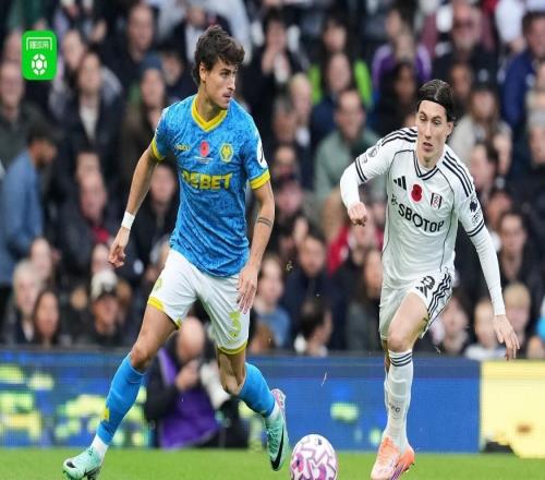 富勒姆30十人狼队，威尔逊、塞塞尼翁破门，莫斯克拉乌龙