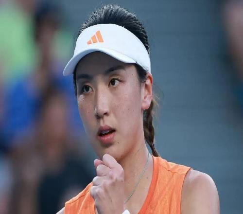 涨球了就得夸！王欣瑜不敌四号种子阿尼西莫娃止步16强，刷新澳网最好战绩