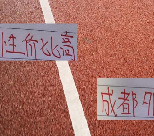 花小钱办大事！成都蓉城外援看起来不贵但就能打出顶级实力出来