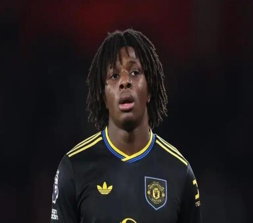 邮报：曼联可能冬窗压哨引援夏窗的头号目标则是安德森