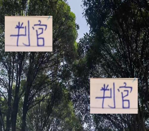 海港两次面对有马莱莱大连都拿下申花反而主场没拿下夺冠判官