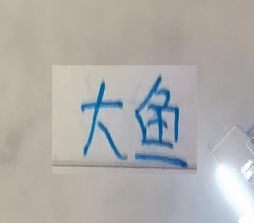 没想到！申花第一场热身两条大鱼都没有进球前年本土标王还伤了