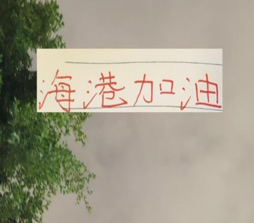 中超前5身价最高的外援海港是巴西双子星申花是单子星