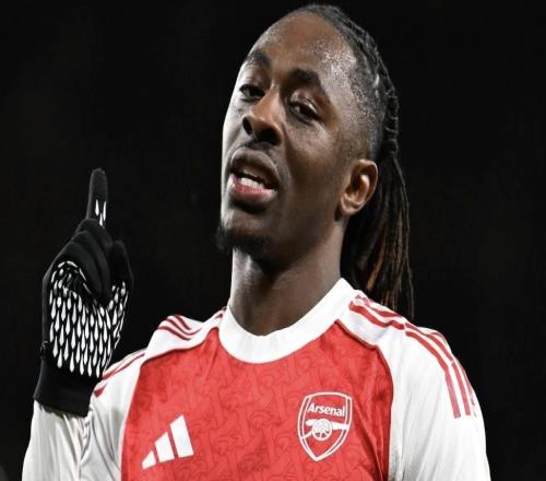 电讯报谈埃泽处境：厄德高更具创造力，左路竞争不过特罗萨德