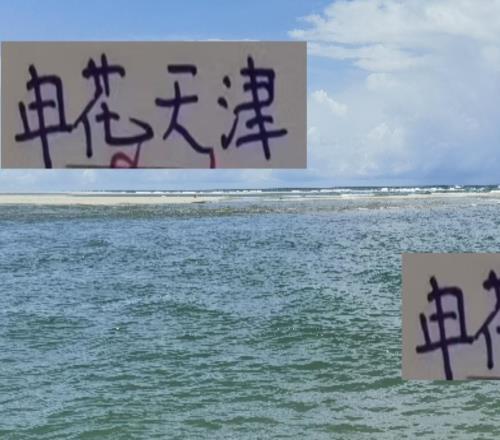 海港跟英博哥们好！刘主任是红魔租过去而申花跟天津关系就难说