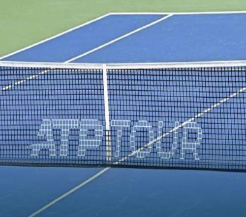 ATP猪八戒照镜子，张帅战乌名将，孟菲尔斯赢球，莱巴弗里茨卫冕