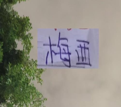 申花2026第一场热身被逼平！梅西妻子晒泳装真不把粉丝当外人