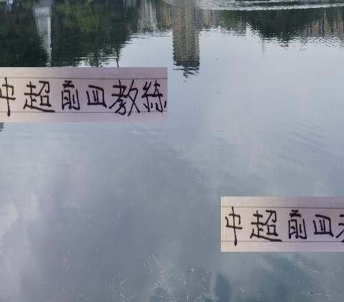 中超前4教练都是好老师！申花前俄教练去年遗憾丢冠