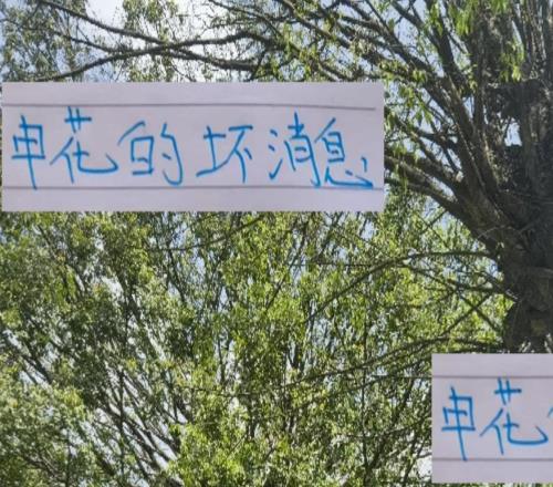 战泰山还有不到72个小时！申花迎来最大坏消息他们前锋缺席6周
