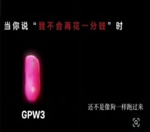 感觉自己很幽默罗技发广告称“一降价你像狗一样跑来”随后官方致歉