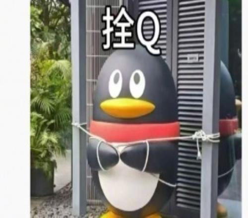 栓q我真的会笑超强台风桦加沙逼近广东腾讯为QQ企鹅雕像上拴绳