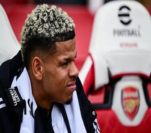 英媒：水晶宫评估引进纽卡前锋奥苏拉可行性，法兰克福也有意