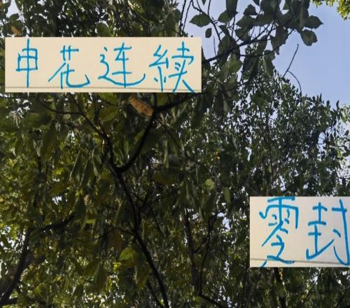 申花这两轮能零封对手防住浙江米神青岛姆巴佩多亏马纳法