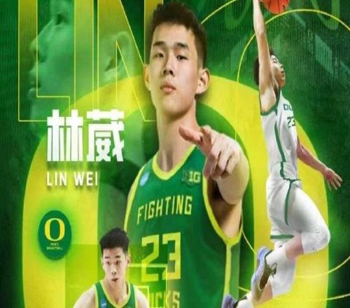 林葳：我们和NBA球员差距不大，但这点差距需要很多努力弥补