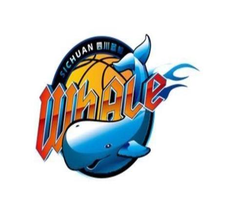 四川再输山东遭遇29连败创造联盟历史纪录