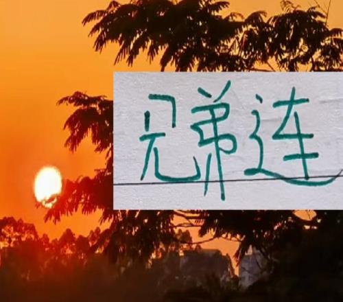 中超真的有兄弟连！哥哥执教浙江弟弟掌管成都蓉城