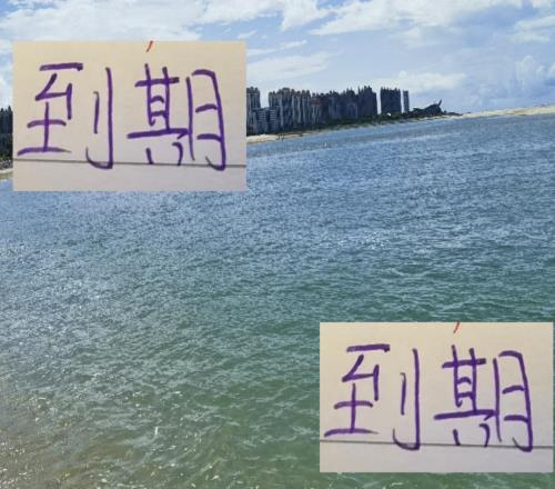 中超前四今年到期外援海港有古9申花有路易斯北京国安有古加