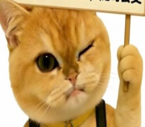 LPL爆料人：BLG二队上单加入iG，iG辅助Meiko、Jwei二选一，呼吸暂时休息