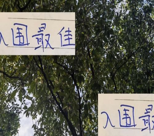 上海双雄入围中超最佳单轮候选海港是莱昂申花是陈晋一