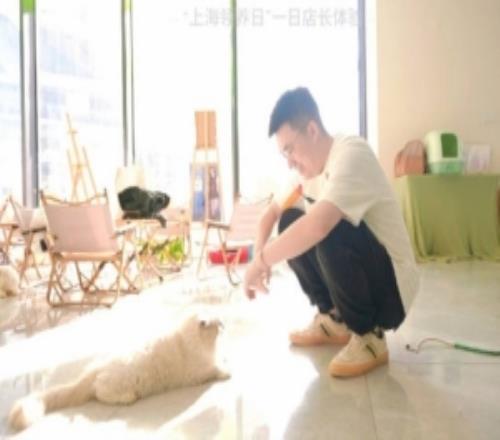 之公益！xiaohu发文：让领养代替购买关爱流浪小动物