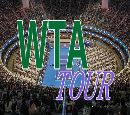 郑钦文遭逆转输发球奥胖进八强抢纪录，布疯胜hubi，弗里茨晋级