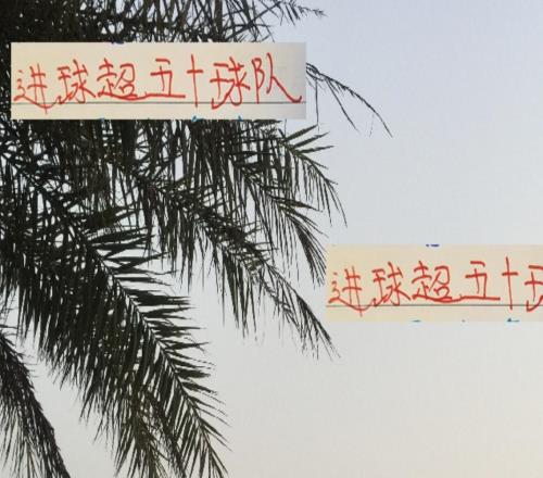 22轮下来只有两球队进球超50分别是有莱昂海港有发飙北京国安