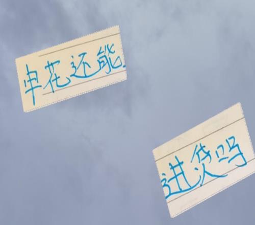 明年申花还会来北京国安进货吗高天意跟李可真是捡到宝！